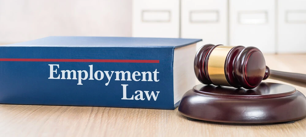 Blue Employment Law Dublin Book with Gavel